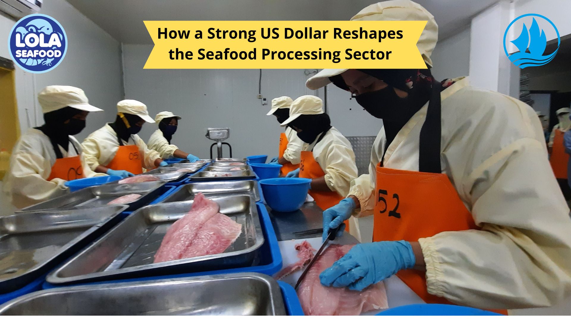 How a Strong US Dollar Reshapes the Seafood Processing Sector